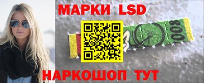 шишки Гай